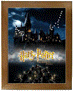 picture frame 1